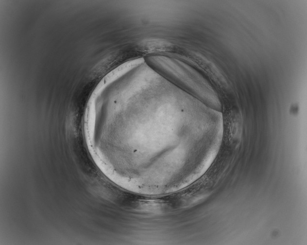 X0000116640316201001111213