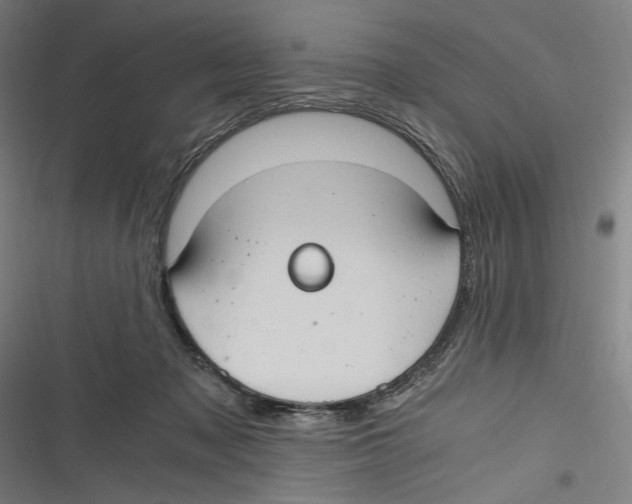 X0000116640317201001111213