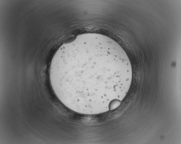 X0000116640319201001111213