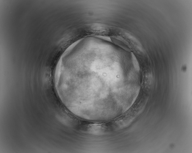 X0000116640320201001111213