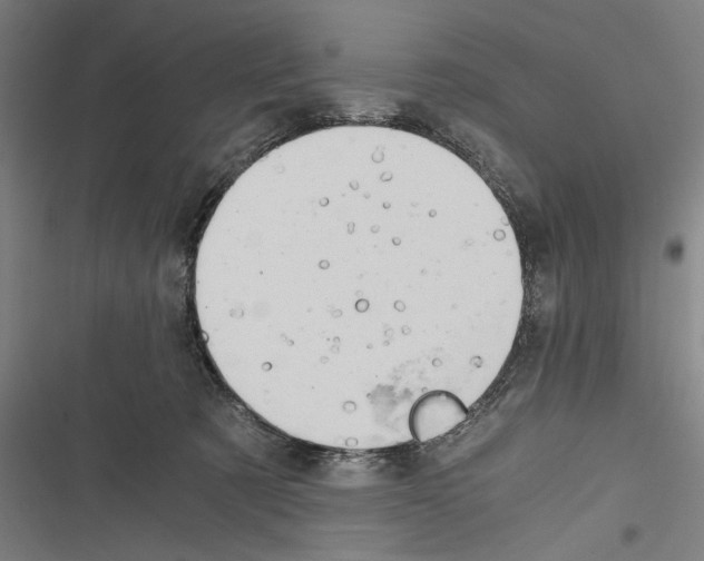 X0000116640321201001111213