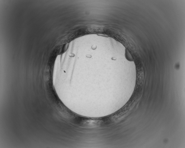 X0000116640323201001111213