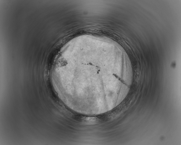 X0000116640324201001111213