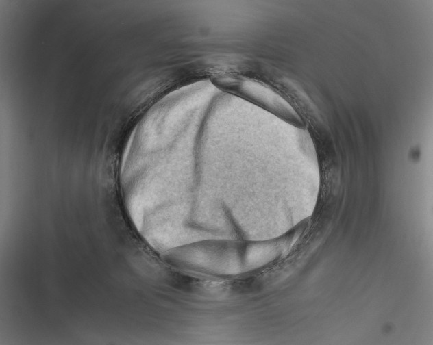 X0000116640325201001111213