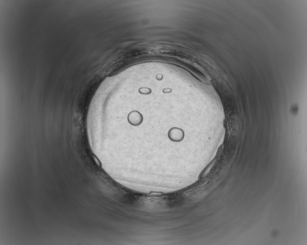 X0000116640327201001111213