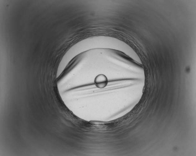 X0000116640328201001111213