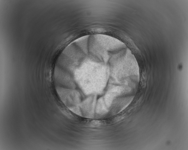 X0000116640330201001111213