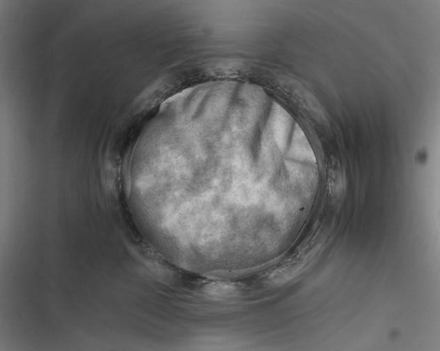 X0000116640332201001111213