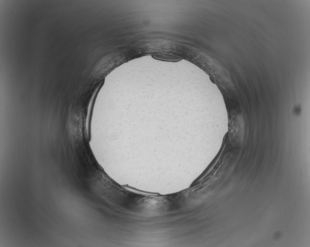 X0000116640333201001111213