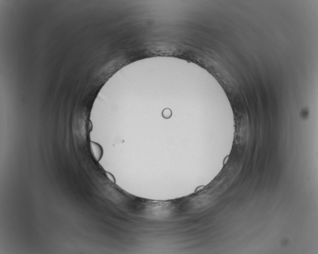 X0000116640334201001111213