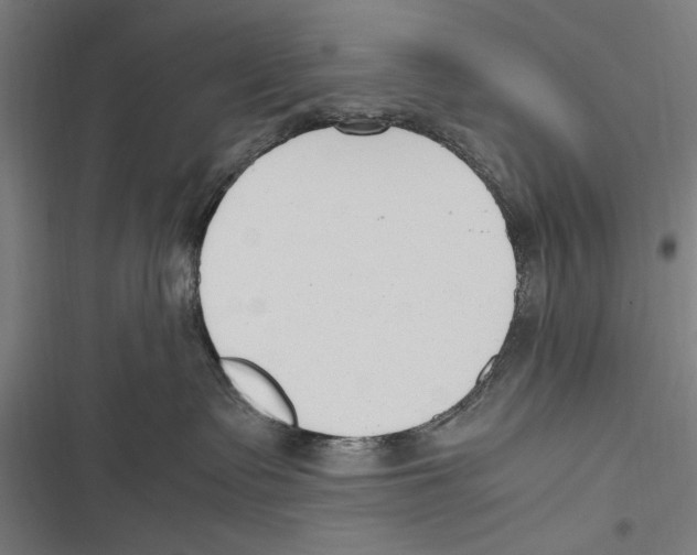 X0000116640335201001111213