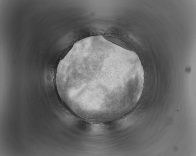 X0000116640336201001111213