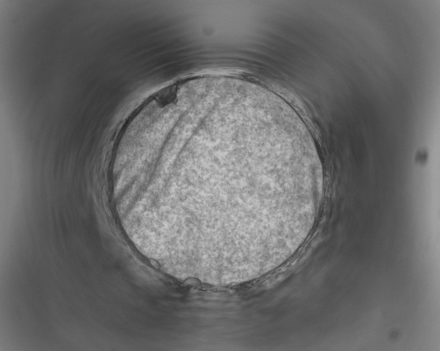 X0000116640337201001111212