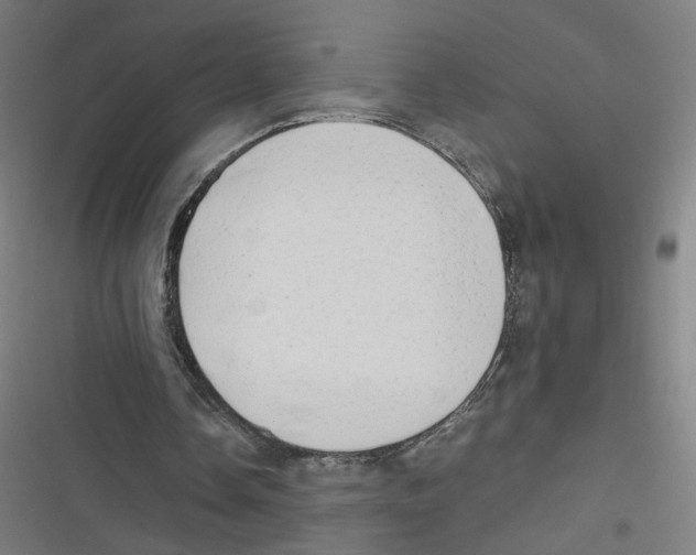 X0000116640338201001111212