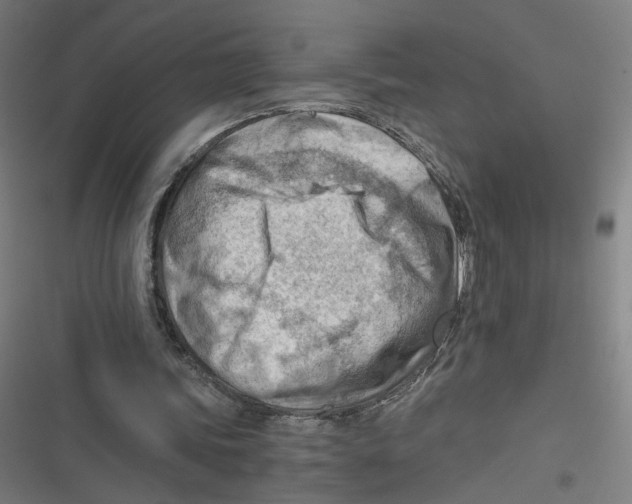 X0000116640339201001111212