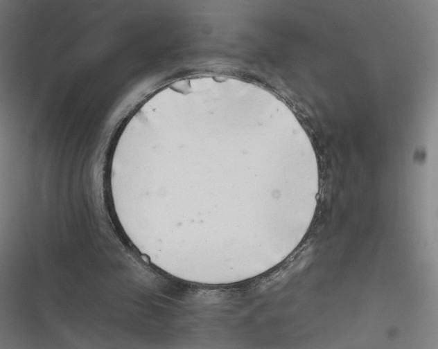 X0000116640341201001111213