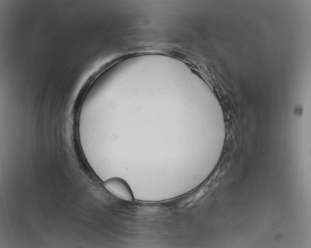 X0000116640342201001111213