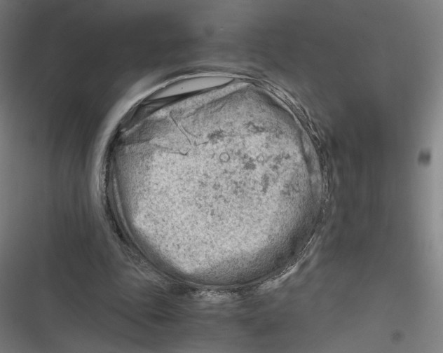 X0000116640343201001111213