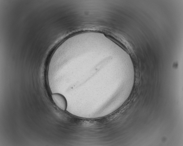 X0000116640346201001111213