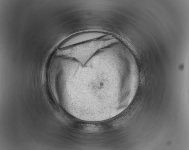 X0000116640347201001111213