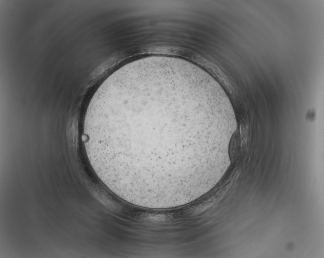 X0000116640349201001111213