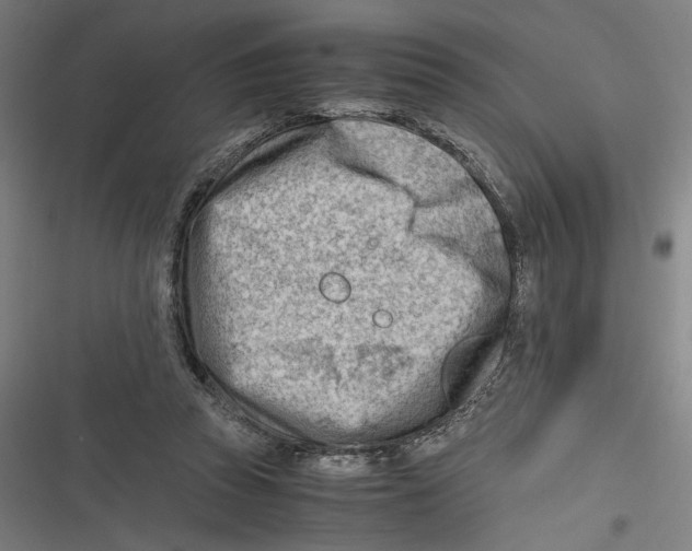 X0000116640353201001111213