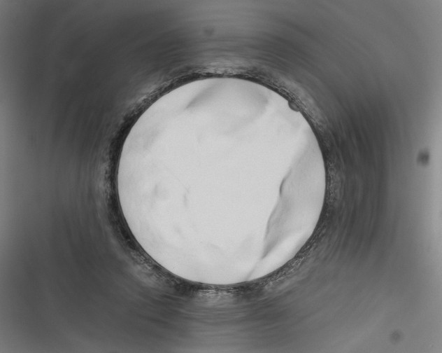 X0000116640354201001111213