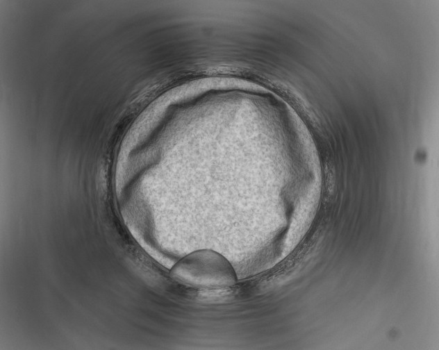 X0000116640357201001111213