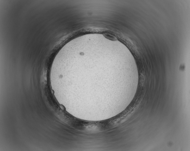 X0000116640358201001111213