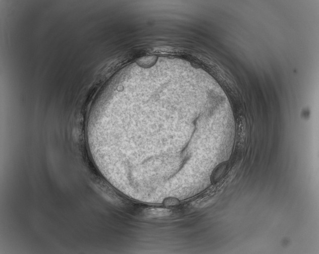 X0000116640361201001111213