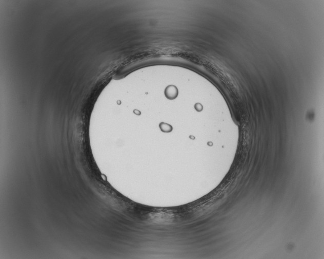 X0000116640362201001111213