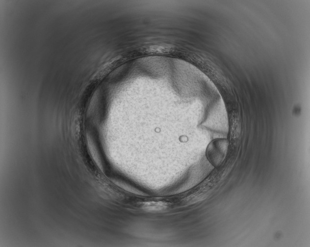 X0000116640363201001111213