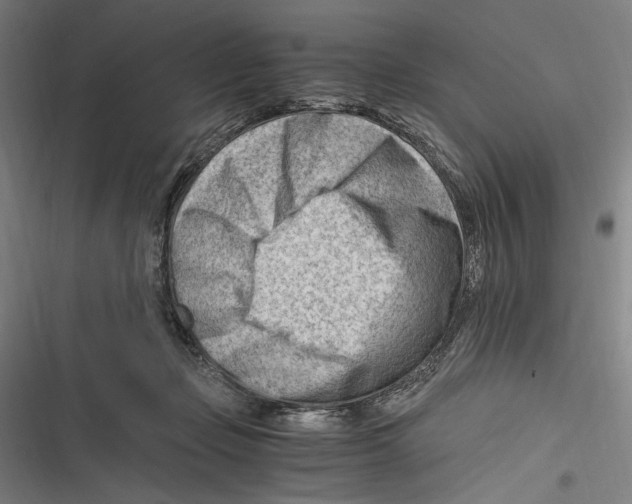 X0000116640365201001111213