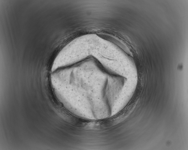 X0000116640366201001111213