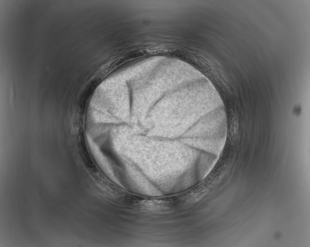 X0000116640367201001111213