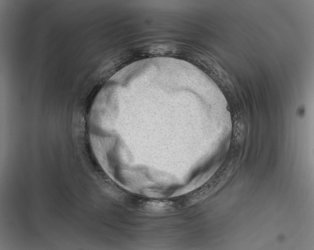 X0000116640375201001111213