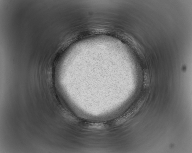 X0000116640377201001111213