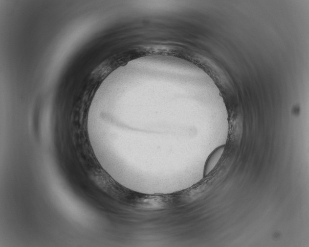 X0000116640381201001111213