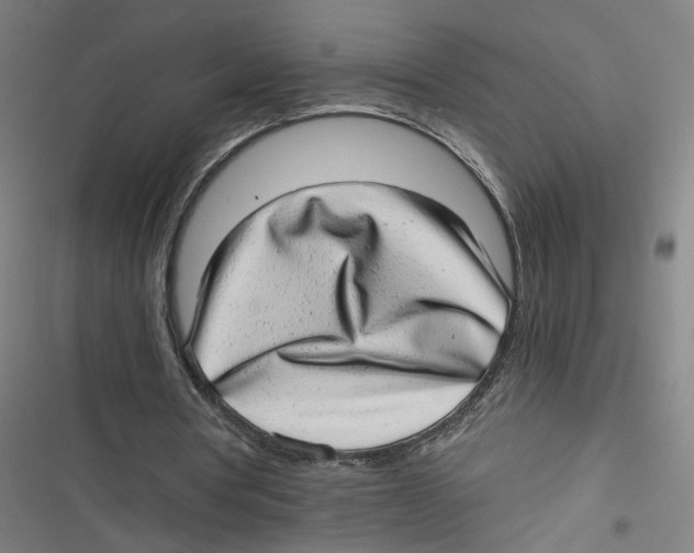 X0000116640386201001111212