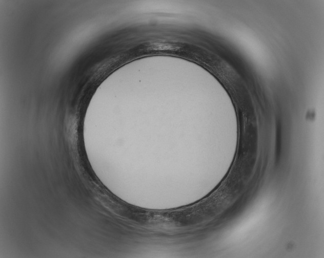 X0000116640387201001111212