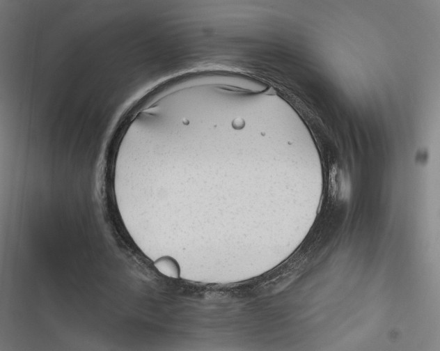 X0000116640388201001111212