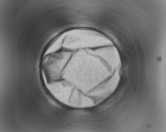 X0000116640389201001111212