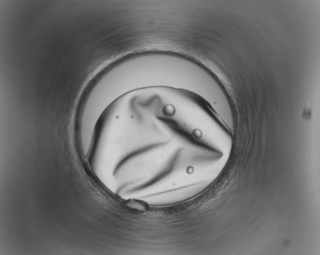 X0000116640391201001111212