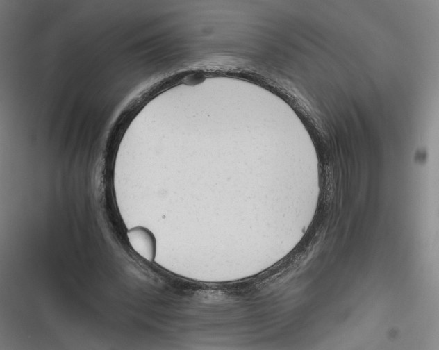 X0000116640392201001111212