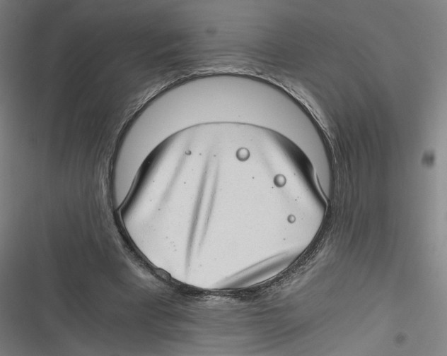 X0000116640393201001111212