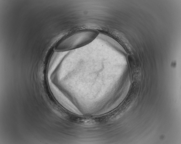 X0000116640395201001111212