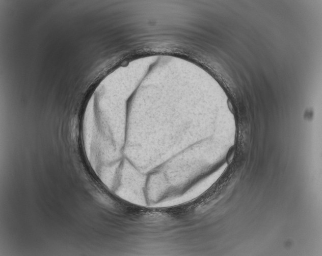 X0000116640397201001111212