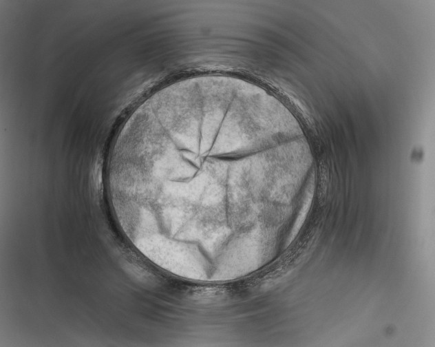 X0000116640398201001111212