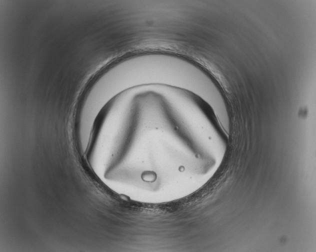 X0000116640399201001111212