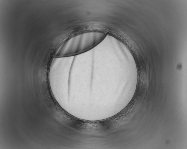 X0000116640401201001111212